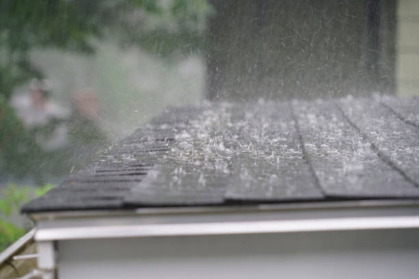 Best Solar Panel Roofing Installation  in East Patchogue, NY
